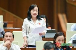 Đại biểu Quốc hội: Bảo đảm được sự an toàn, tin cậy trong giao dịch điện tử?