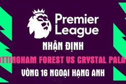 Nhận định trận đấu giữa Nottingham Forest vs Crystal Palace, 22h00 ngày 12/11 - vòng 16 Ngoại hạng Anh