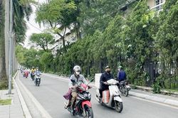 Miền Bắc sắp đón 2 đợt không khí lạnh liên tiếp
