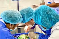 Người đàn ông Hòa Bình nguy kịch vì dằm gỗ nhỏ đâm vào đuôi lông mày