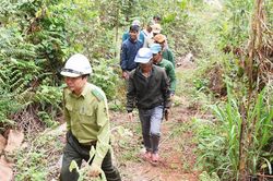 Gia Lai bổ sung hơn 6.200 ha rừng tự nhiên phục vụ Quy hoạch lâm nghiệp quốc gia