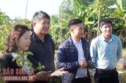 Khảo sát vùng nguyên liệu cung cấp cho Trung tâm chế biến rau quả Doveco Sơn La