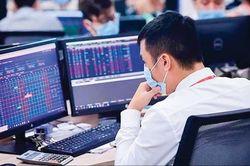 Chứng khoán hôm nay (11/11): Khối ngoại mạnh tay bắt đáy với giá trị mua ròng lớn