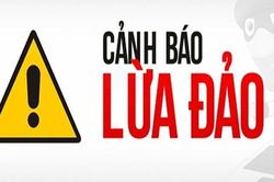 Bị lừa hơn 200 triệu đồng khi tìm việc làm online
