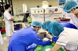 Suýt mất mạng vì vết xước nhỏ trên đuôi mày