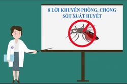 8 cách phòng chống sốt xuất huyết tại nhà