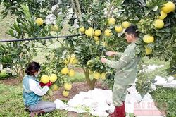 Xã hội hóa các nguồn lực xây dựng nông thôn mới