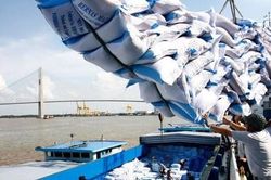Giá gạo Việt Nam xuất khẩu cao nhất thế giới