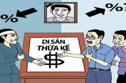 Cháu nuôi có được hưởng tài sản thừa kế?