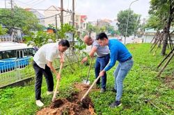 Chính trị - Xã hội Theo dòng thời sự 'Trồng cây xanh – vì một trường chính trị xanh'