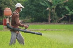 Ngộ độc hóa chất: Trang bị những kiến thức sơ cấp cứu, giúp bệnh nhân vượt qua 'cửa tử'