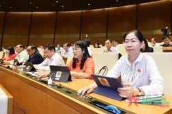 Quốc hội thông qua Luật Dầu khí (sửa đổi)