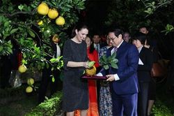 Thủ tướng Chính phủ Phạm Minh Chính và Thủ tướng New Zealand thăm Khu Di tích Phủ Chủ tịch