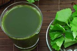Độc đáo thứ rau dại mọc đầy bờ bụi nhưng có tới 6 công dụng với sức khỏe