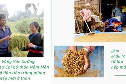 Nậm Mòn: Khúc nhạc hân hoan