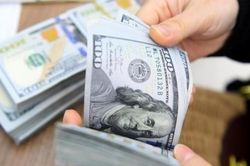 Tỷ giá hôm nay (14/11): USD trung tâm giảm phiên đầu tuần