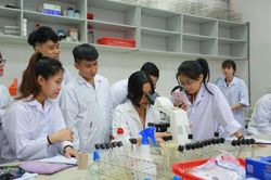 Nhiều trường đại học sử dụng chứng chỉ VSTEP cho xét tuyển sinh và chuẩn đầu ra