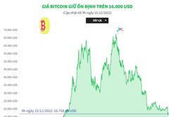 Giá tiền điện tử Bitcoin giữ ổn định trên 16.000 USD