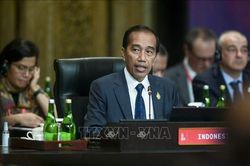 Indonesia sẵn sàng hỗ trợ sáng kiến 'Đối tác về cơ sở hạ tầng và đầu tư toàn cầu'
