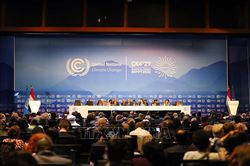 COP27: Thư ngỏ kêu gọi các nhà lãnh đạo chống nạn tin giả về khí hậu