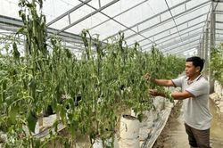 Kinh tế Nông nghiệp - Nông thôn Sản xuất nông nghiệp thích ứng với biến đổi khí hậu