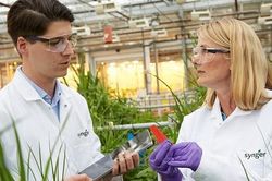Syngenta được trao tặng 5 giải thưởng về khoa học cây trồng