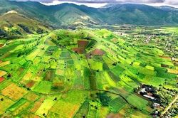 Khai phá tiềm năng Tây Nguyên