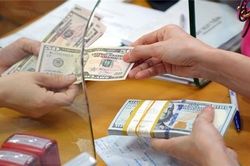 Ngân hàng Thế giới: Việt Nam có thể cân nhắc tăng tỷ giá nhanh hơn nữa