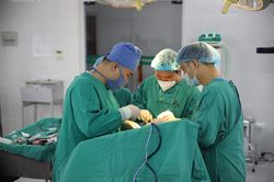 Bệnh viện Đa khoa tỉnh phẫu thuật thành công ca u màng não