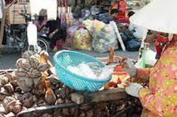 Cặp vợ chồng miền Tây rong ruổi bán món dừa lạ, hút khách