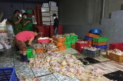Phát hiện hơn 2 tấn gà bốc mùi hôi thối tại một cơ sở ở Đồng Nai