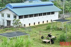 Ngôi nhà của những chú gấu hạnh phúc
