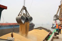 Nga gia hạn thỏa thuận ngũ cốc, Ba Lan ám chỉ tên lửa rơi là của Ukraine