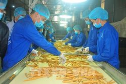 Quảng bá, tiêu thụ hàng Việt qua kênh phân phối trực tuyến