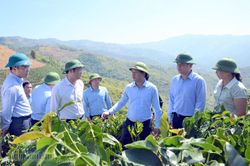 Phát huy truyền thống, khai thác tiềm năng, lợi thế phát triển huyện 'cửa ngõ' xứng tầm