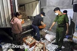 Bắt quả tang cơ sở giết mổ hơn 2,2 tấn gà chết