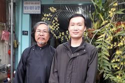 Hoa dã quỳ ở Đài Loan