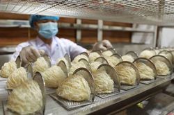Cơ hội mới cho sản phẩm tổ yến xuất khẩu