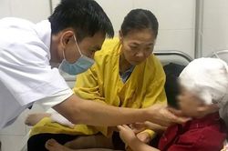 Đang chơi gần nhà, bé trai 3 tuổi bị chó cắn vào đầu