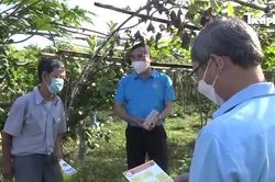 Đẩy mạnh tuyên truyền, vận động xã viên các hợp tác xã tham gia BHXH tự nguyện
