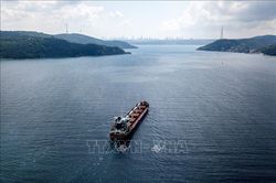 Tương lai đầy lo ngại của thỏa thuận xuất khẩu ngũ cốc Ukraine khi yêu cầu của Nga chưa được giải quyết
