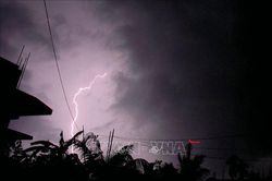 Ba người bị sét đánh thương vong khi thu gom cà phê dưới gốc cây lớn