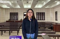Lừa góp vốn thầu vé máy bay bị cáo nhận mức án 14 năm tù