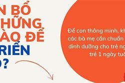 Trẻ cần bổ sung những chất nào để phát triển não bộ?
