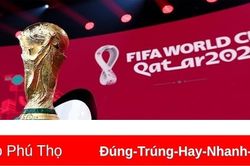 Lịch thi đấu World Cup 2022