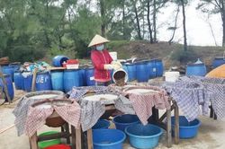 Kinh tế Nỗi lo ở làng nghề