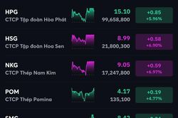 VN-Index chiến thắng áp lực chốt lời, gần 100 triệu cổ phiếu HPG được sang tay