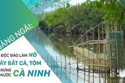 Quảng Ngãi: Độc đáo làm nò vây bắt cá, tôm trong rừng dừa nước Cà Ninh