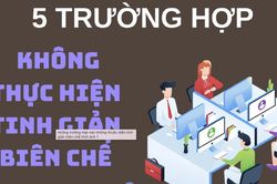Những trường hợp công chức, viên chức không thuộc diện tinh giản biên chế