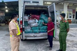 Bắt giữ đối tượng vận chuyển 300 kg pháo lậu